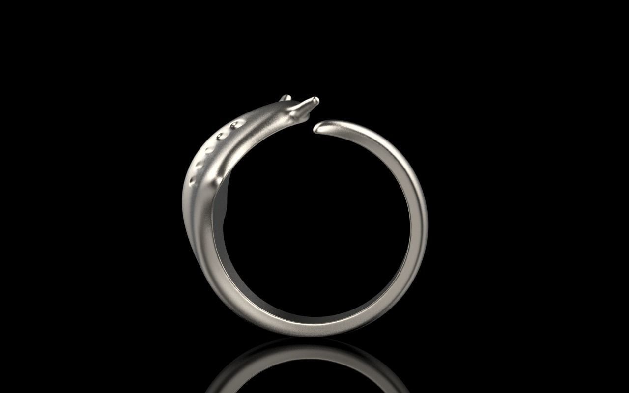 slope fish ring model Z274 3D print model_27