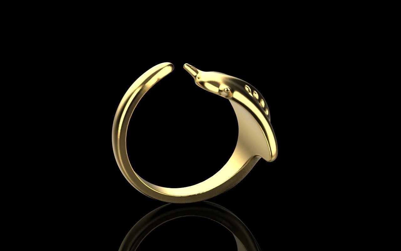 slope fish ring model Z274 3D print model_33