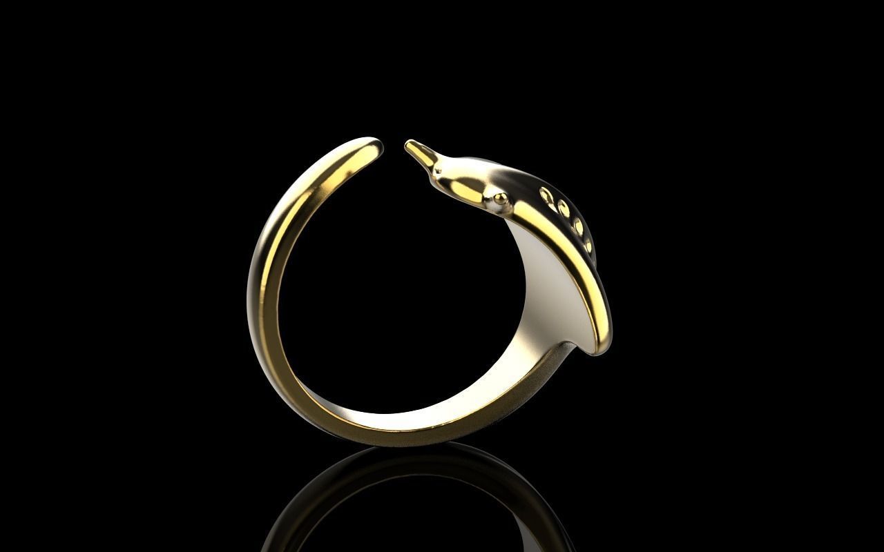 slope fish ring model Z274 3D print model_34