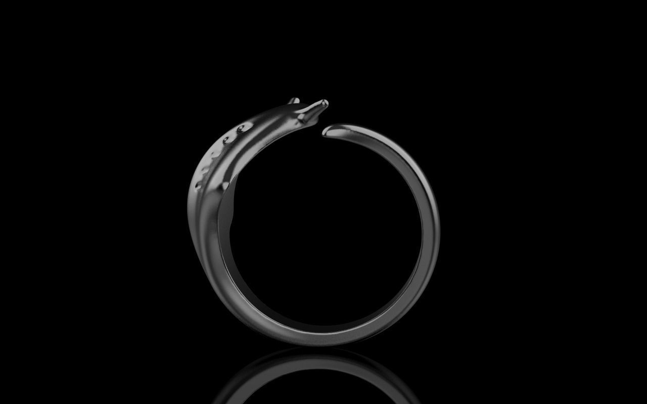 slope fish ring model Z274 3D print model_25