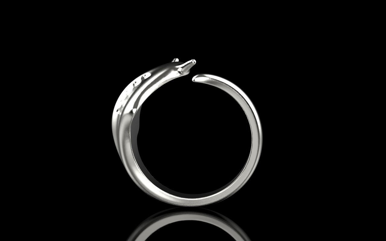 slope fish ring model Z274 3D print model_23