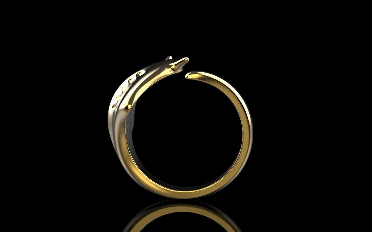 slope fish ring model Z274 3D print model_22