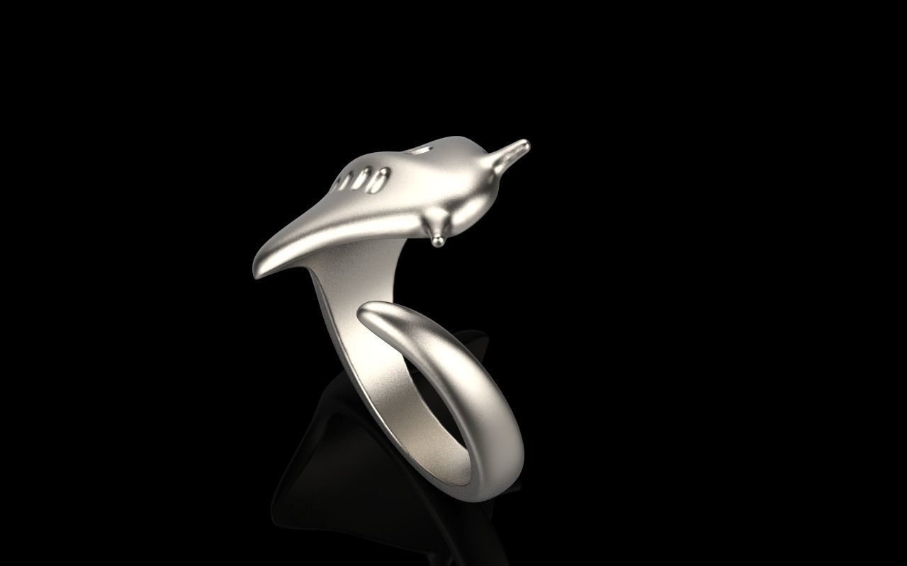 slope fish ring model Z274 3D print model_18