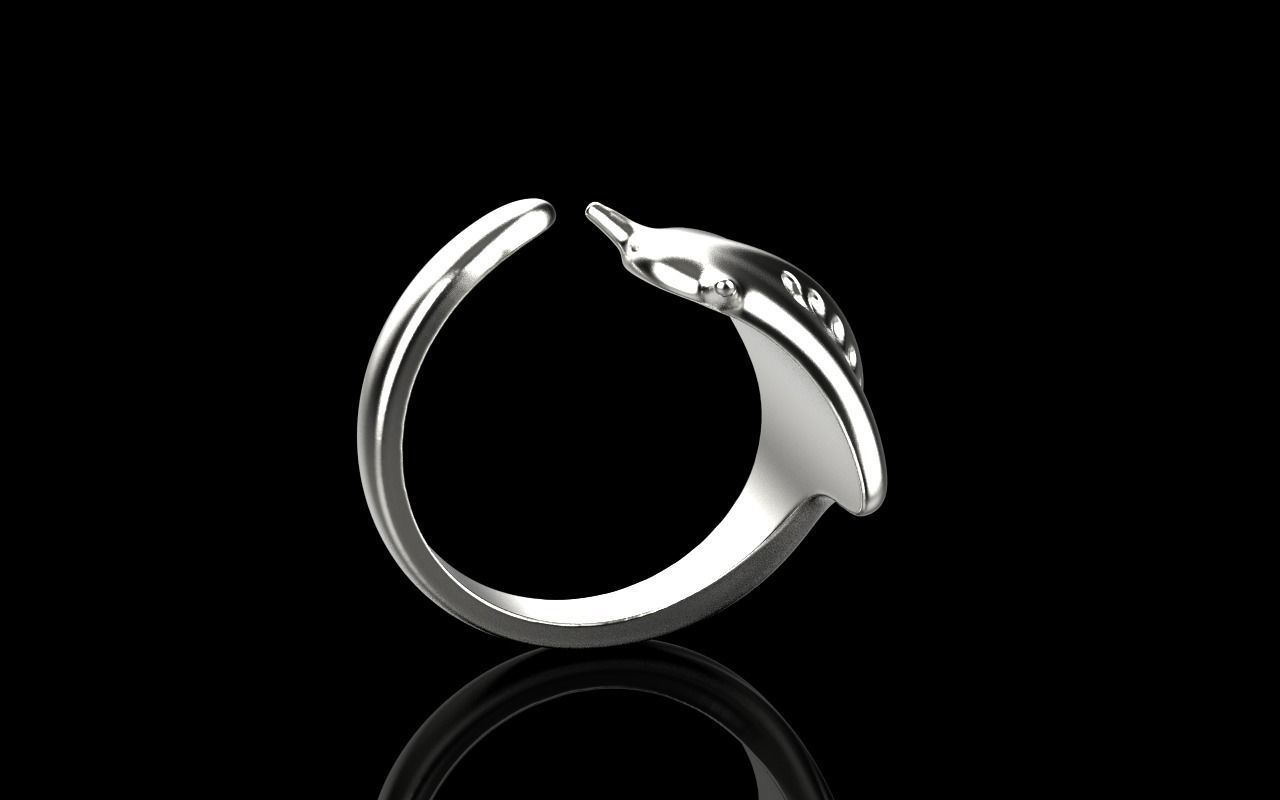 slope fish ring model Z274 3D print model_32