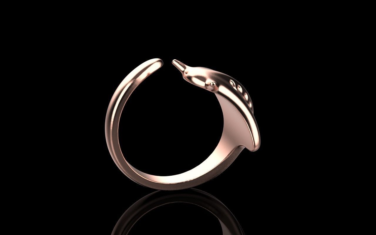 slope fish ring model Z274 3D print model_30