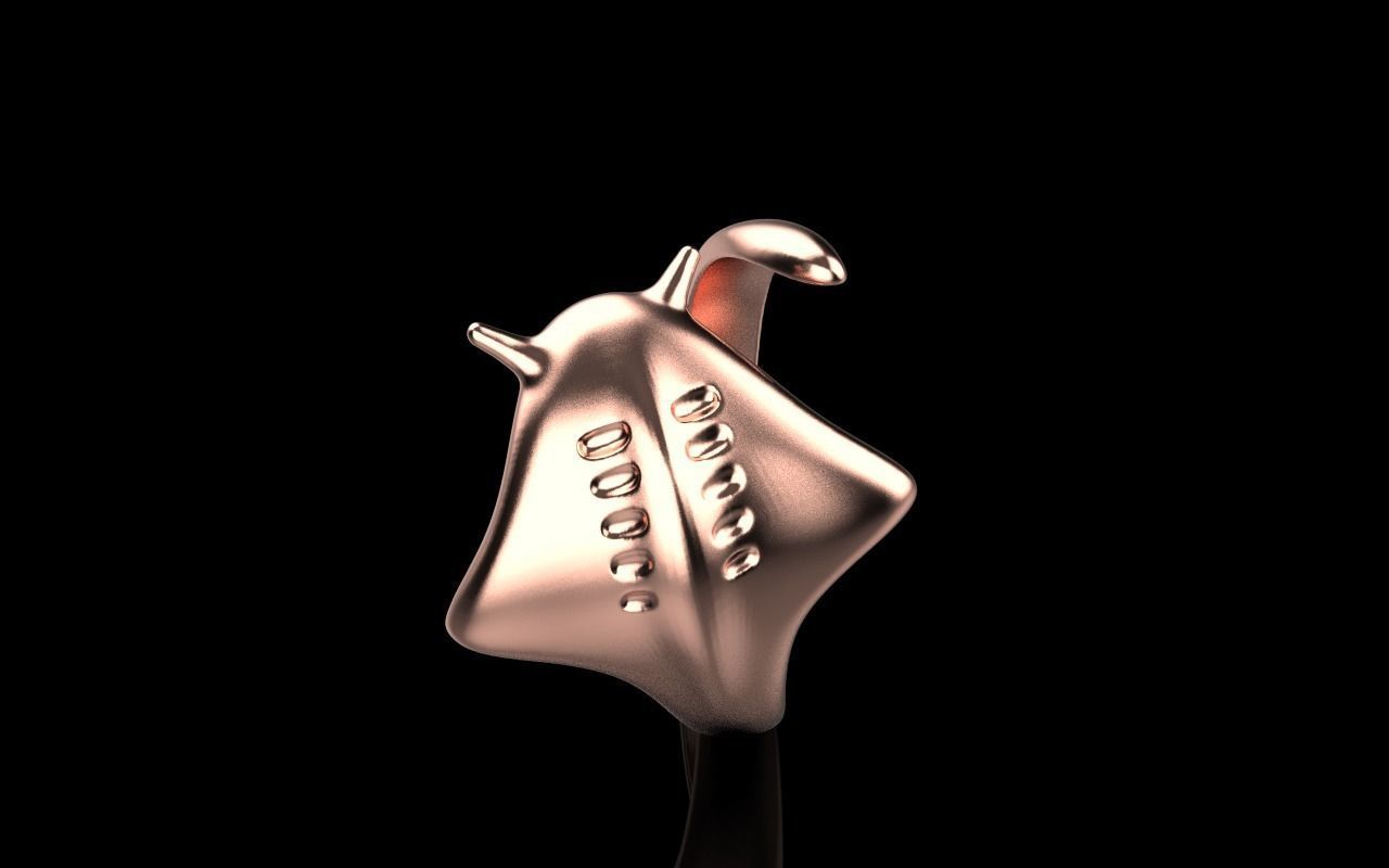 slope fish ring model Z274 3D print model_13