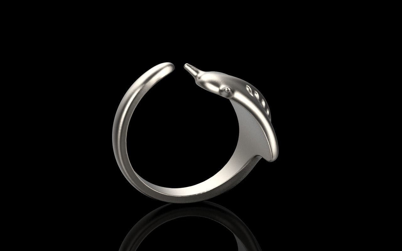 slope fish ring model Z274 3D print model_31