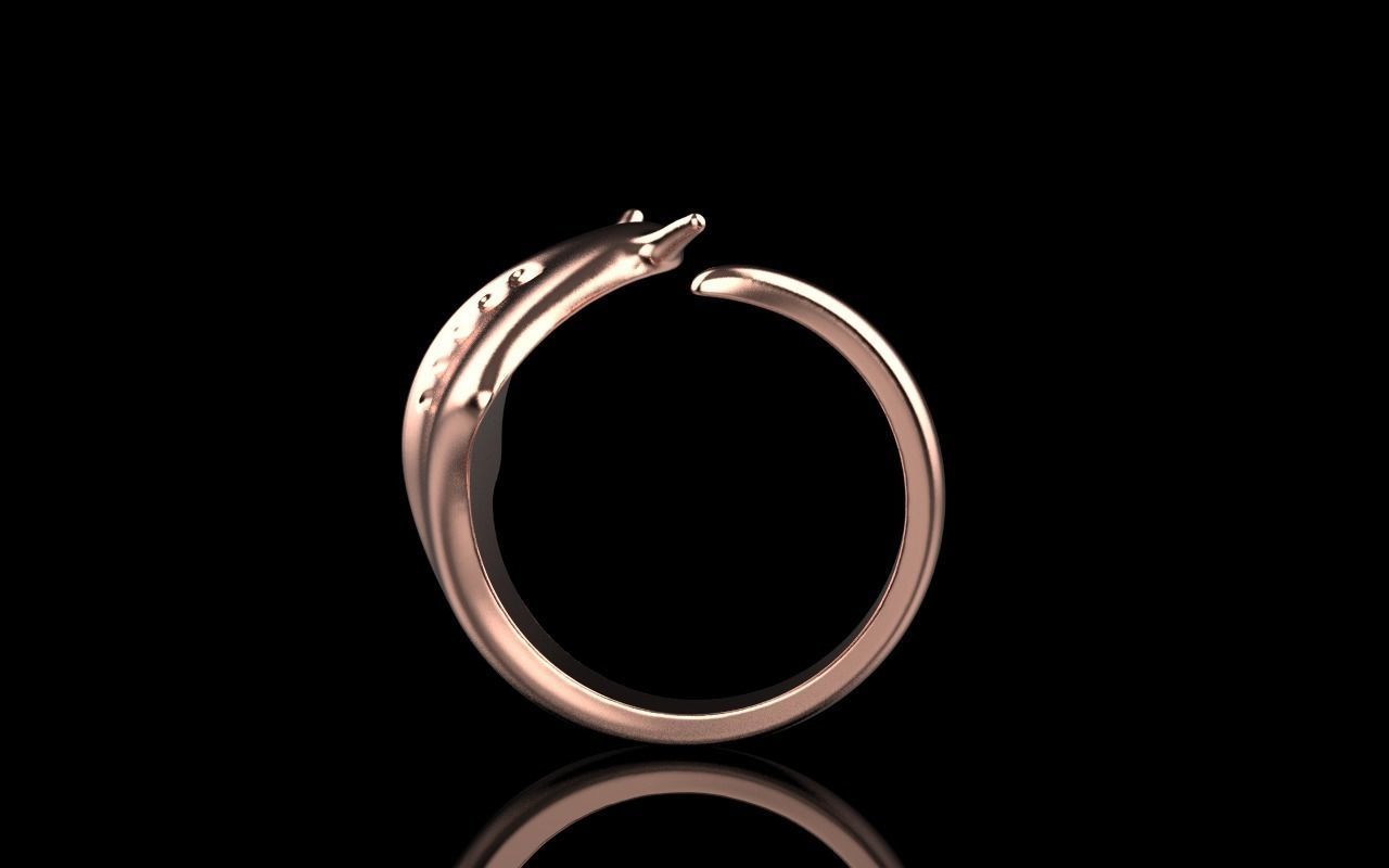 slope fish ring model Z274 3D print model_26