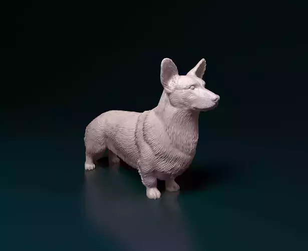 Cardigan Welsh Corgi 3D print model