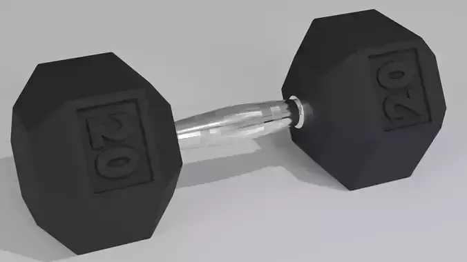 Realistic Dumbell Weight