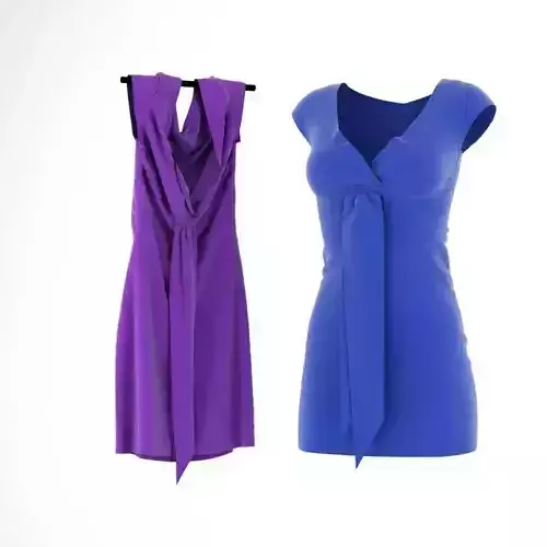 Violet And Purple Dress