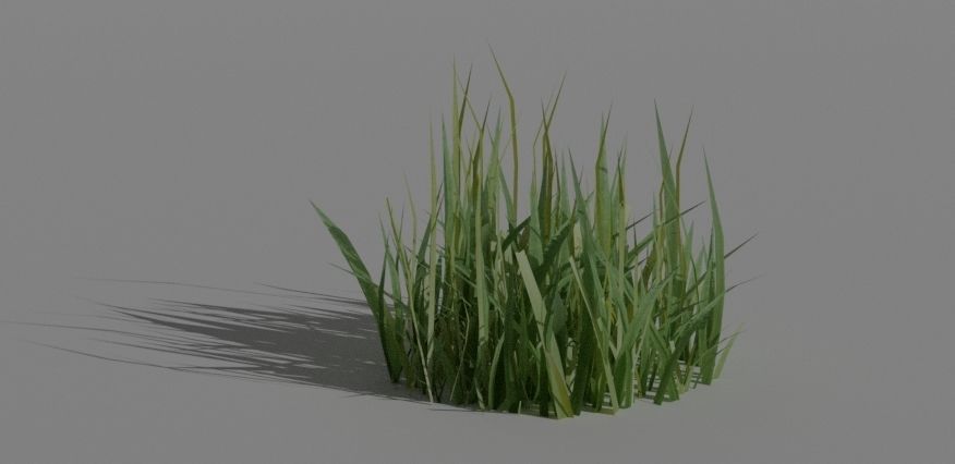 Grass 3d 3D model_2