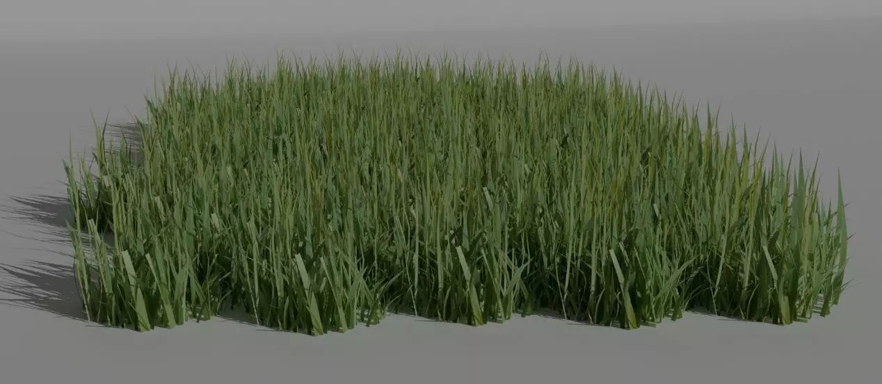 Grass 3d 3D model_0