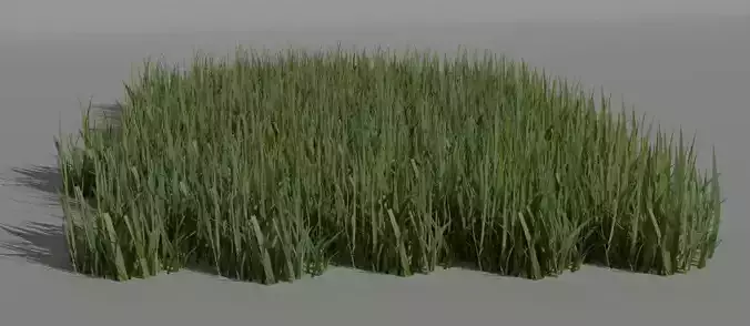 Grass 3d
