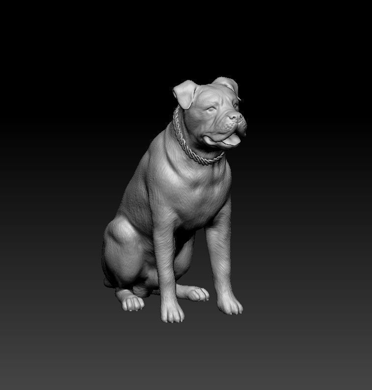 Cane corso with wings 3D print model_5