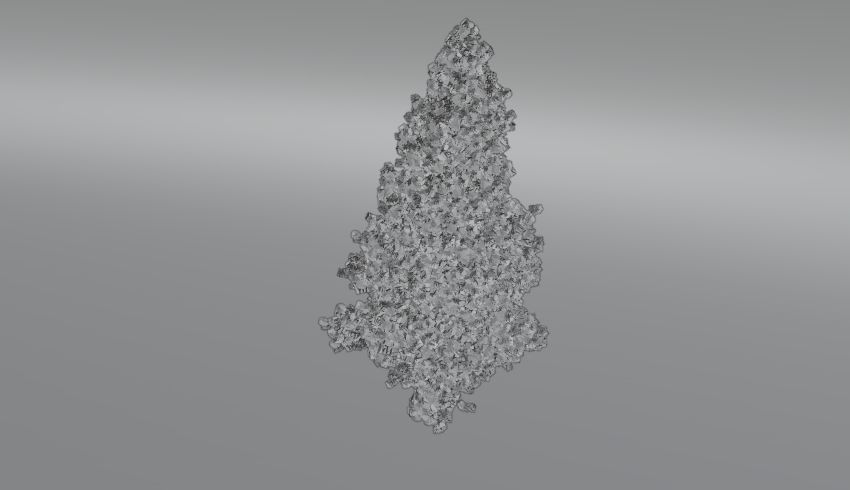 Realistic Tree pine 3D model_1