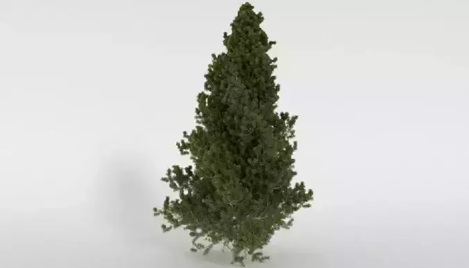 Realistic Tree pine