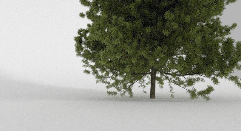 Realistic Tree pine 3D model_2