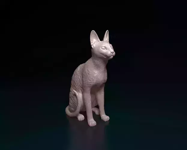 Cornish Rex 3D print model