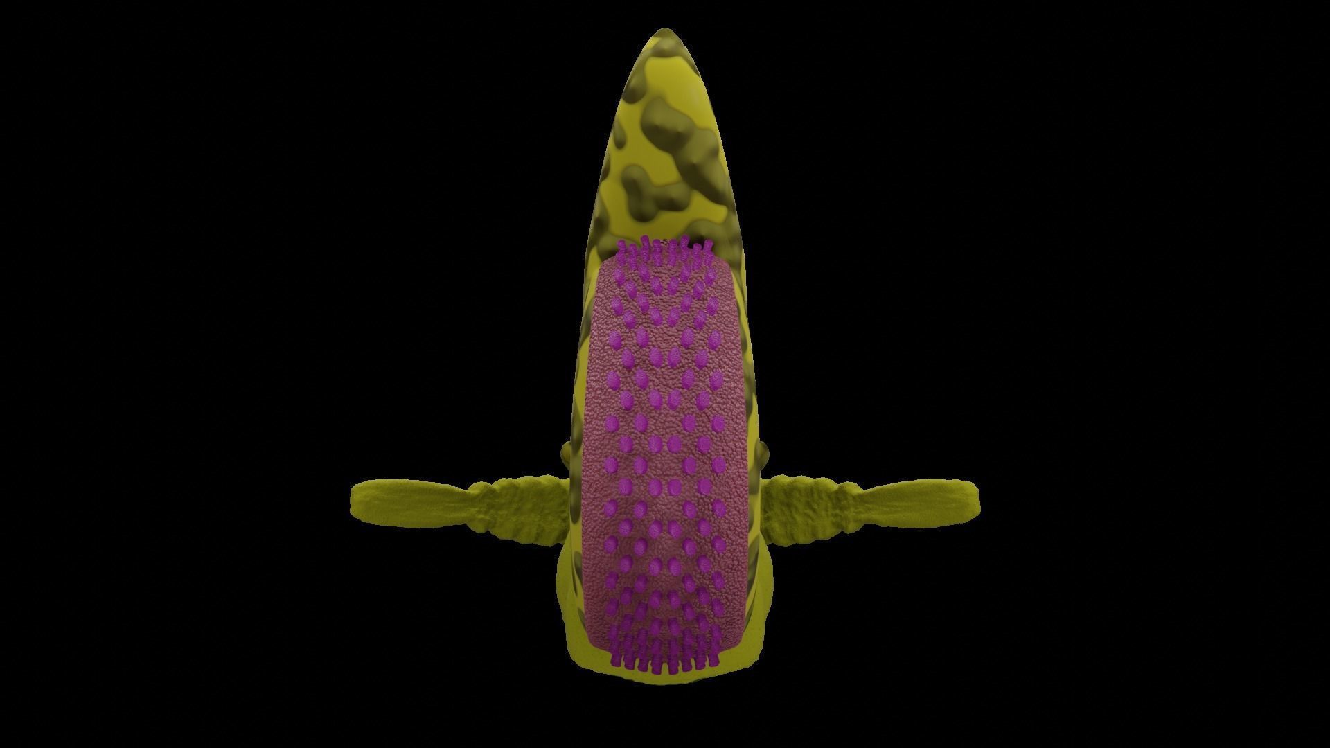 Alien Slug  Free 3D model_5