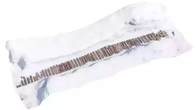 Wooden trail in winter