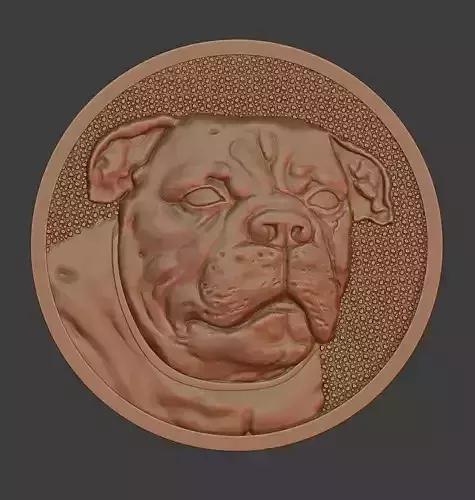 dog medal 