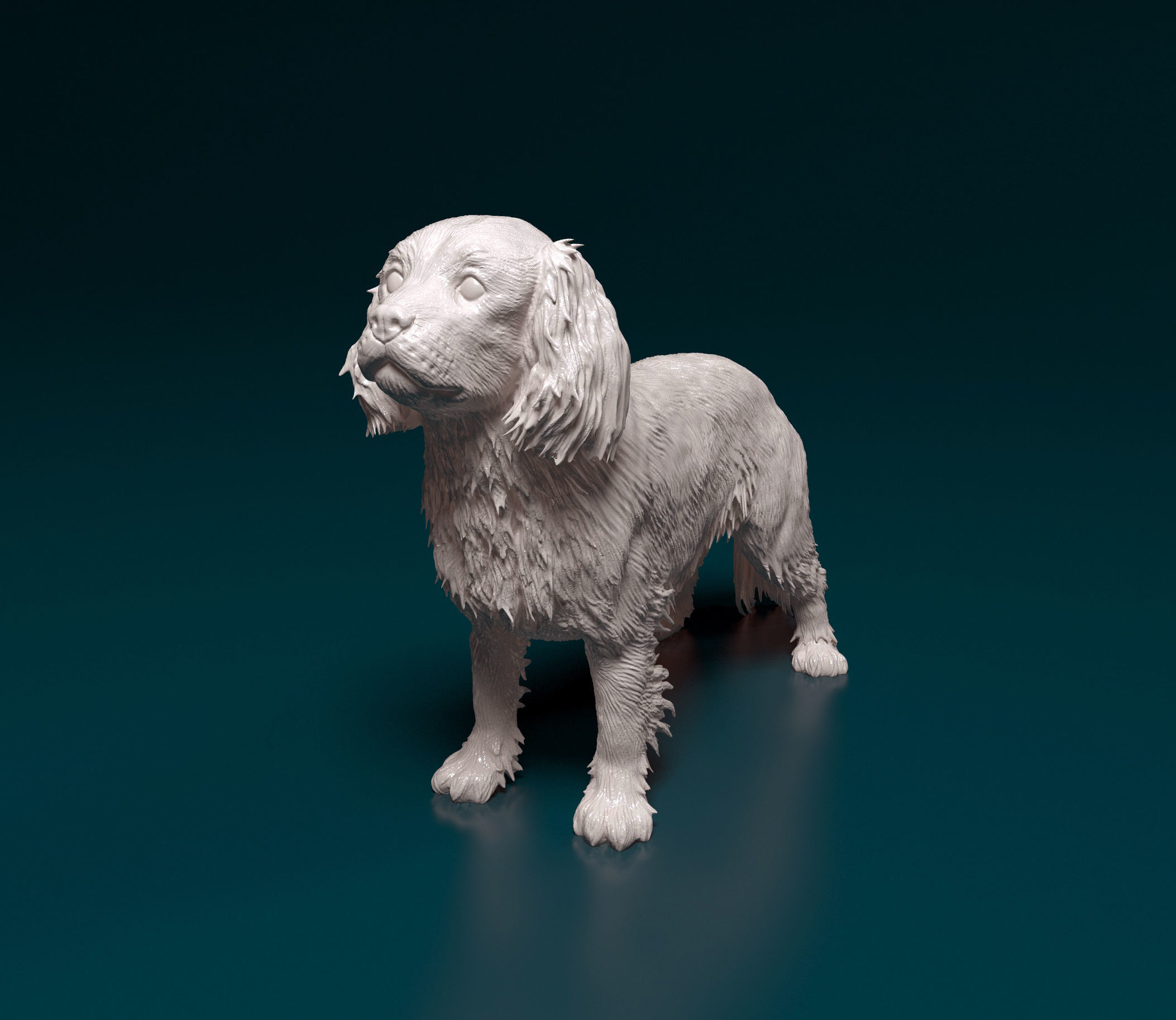Cavalier King Charles Spaniel 3D print model_6