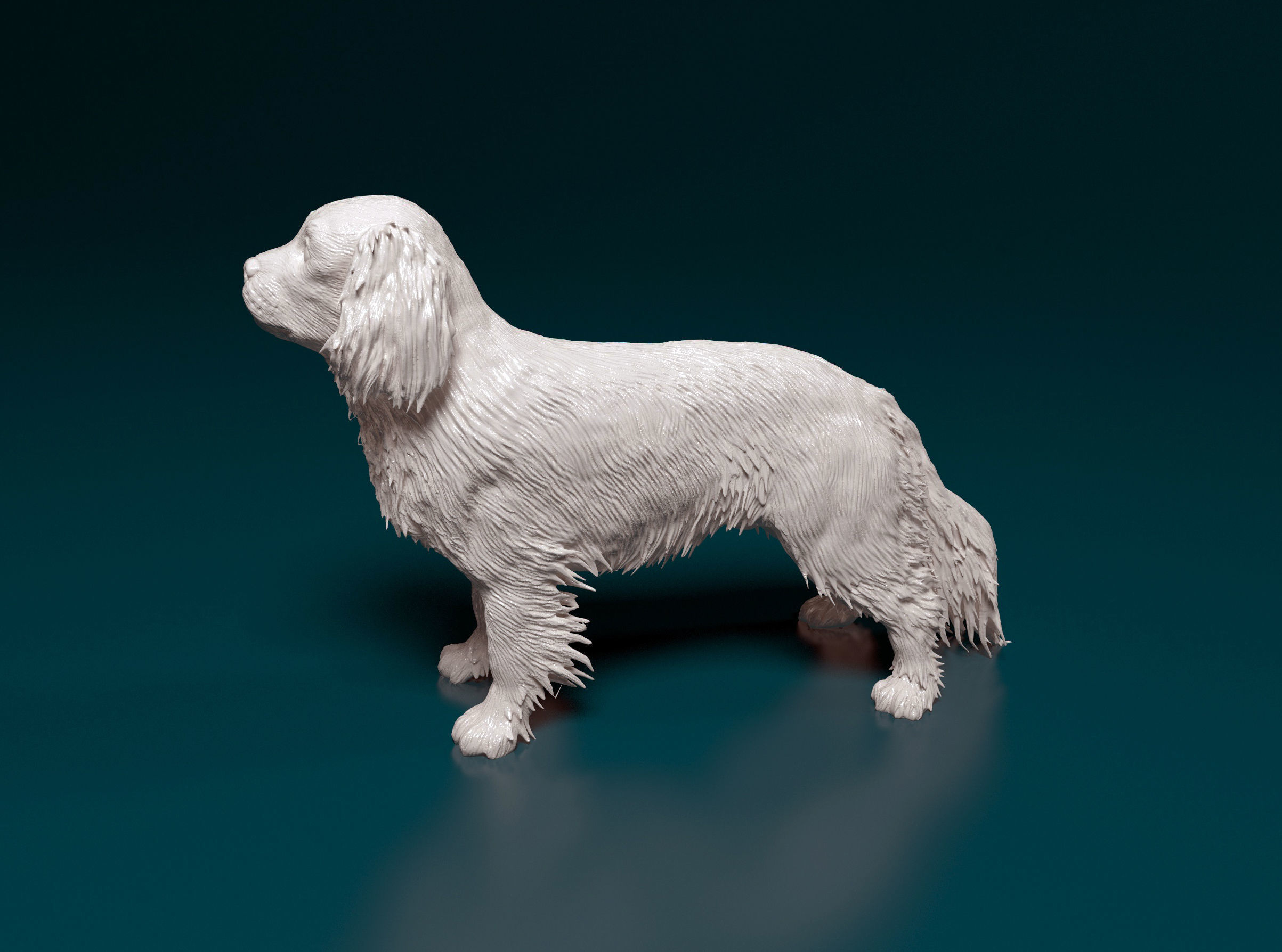 Cavalier King Charles Spaniel 3D print model_5