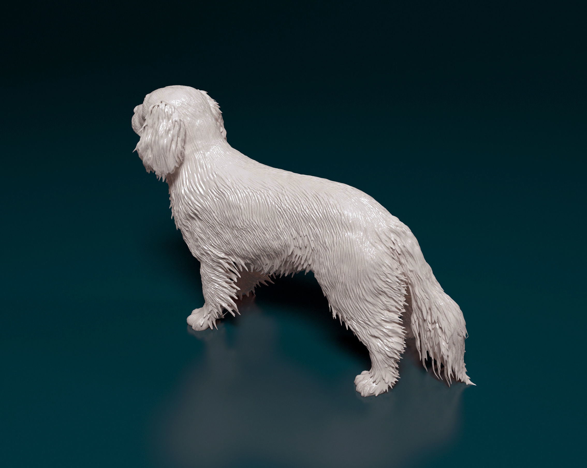 Cavalier King Charles Spaniel 3D print model_4