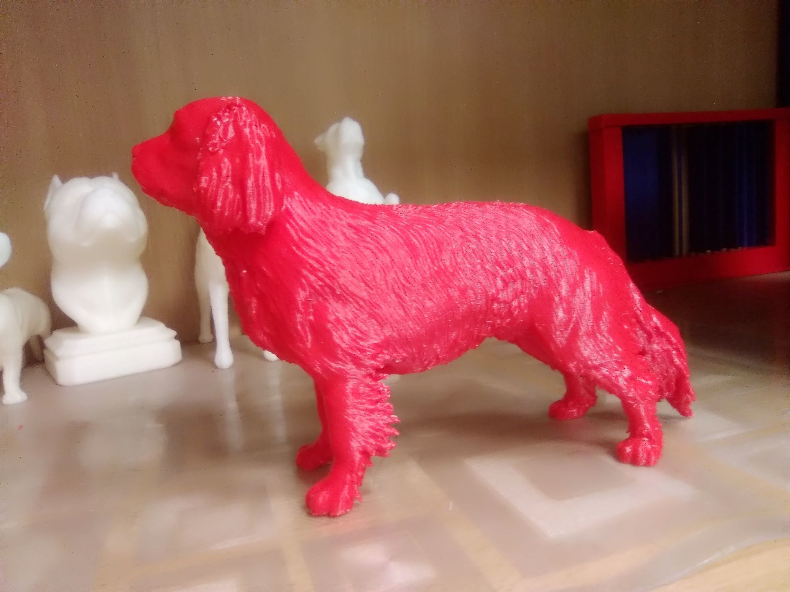 Cavalier King Charles Spaniel 3D print model_10