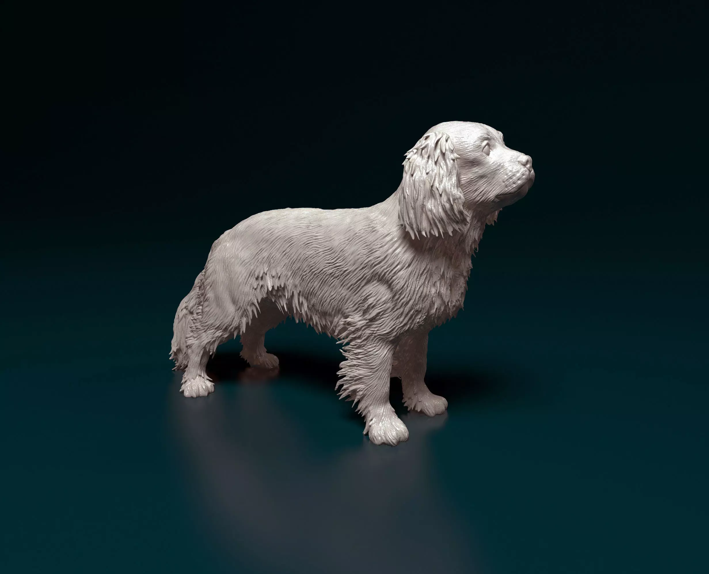 Cavalier King Charles Spaniel 3D print model_0