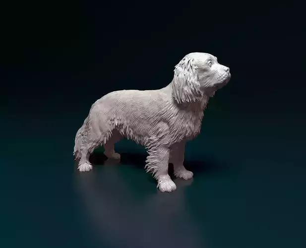 Cavalier King Charles Spaniel 3D print model
