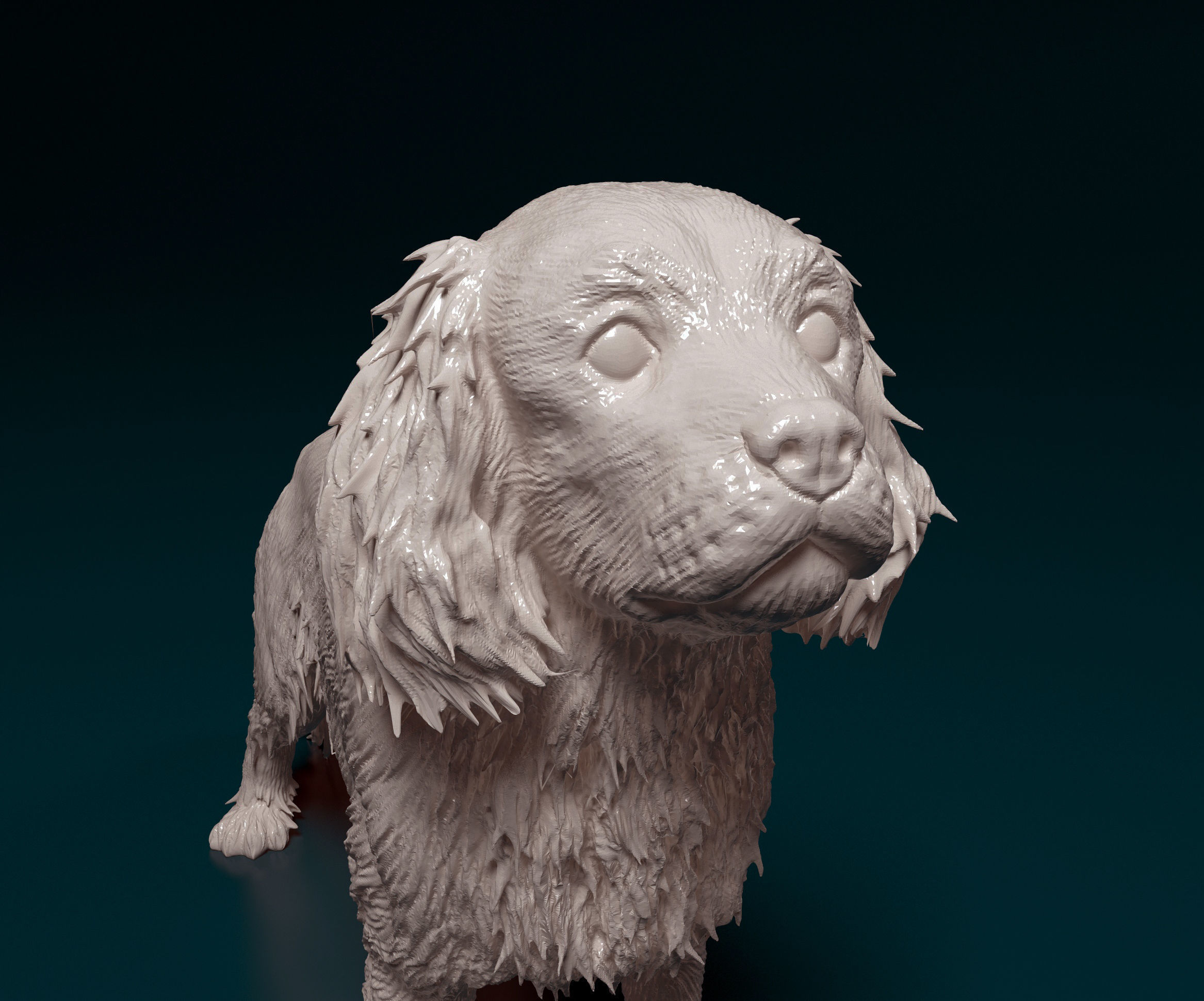 Cavalier King Charles Spaniel 3D print model_7