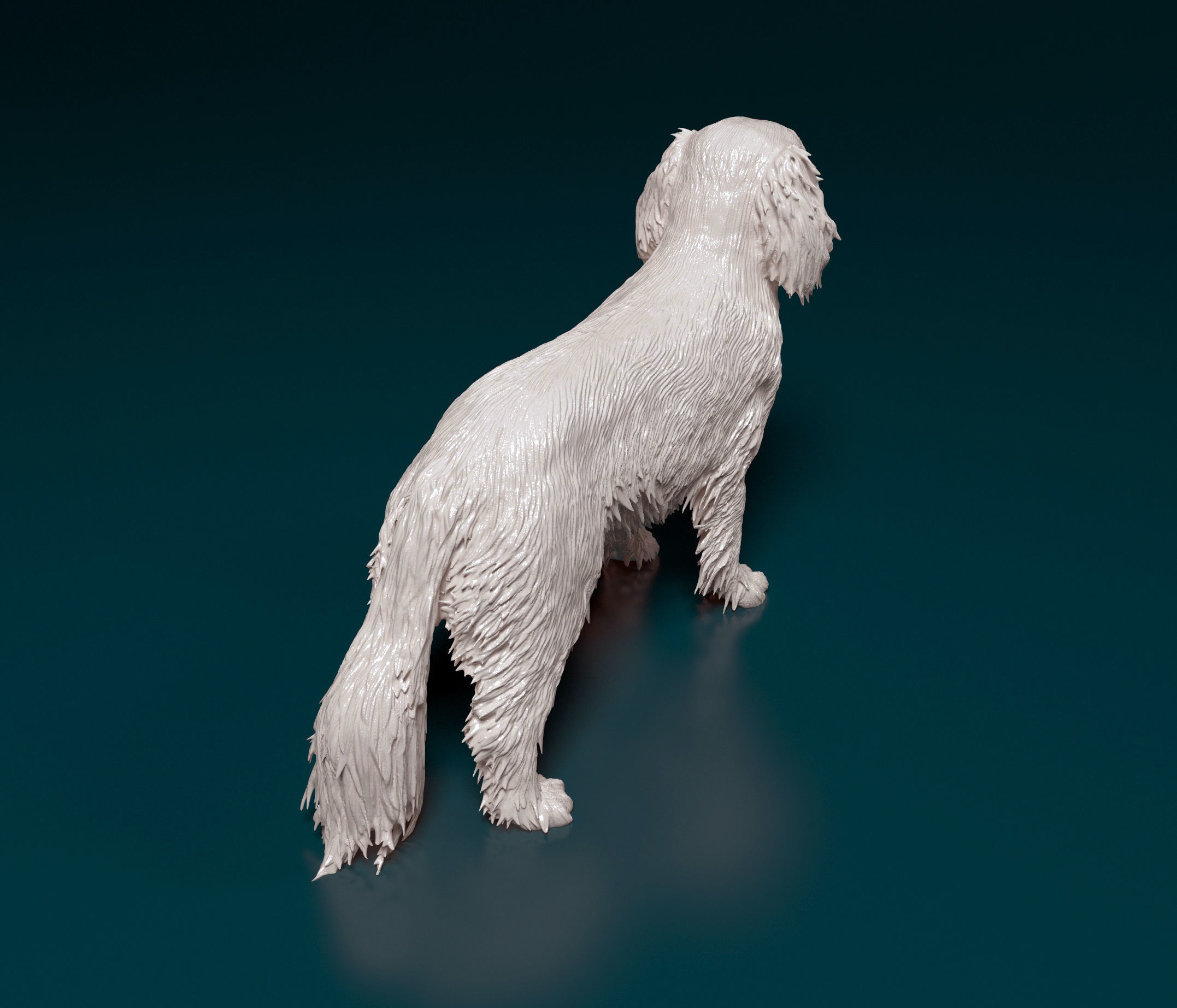 Cavalier King Charles Spaniel 3D print model_2