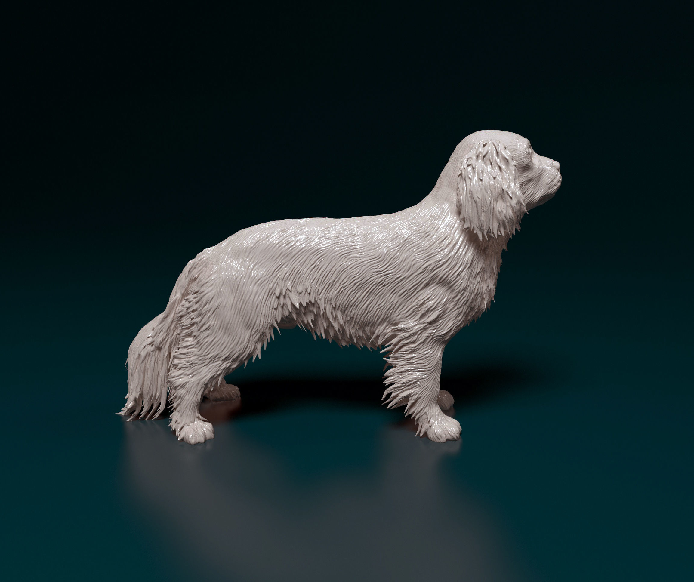 Cavalier King Charles Spaniel 3D print model_1
