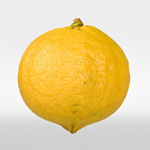 Bergamot 3D model 6