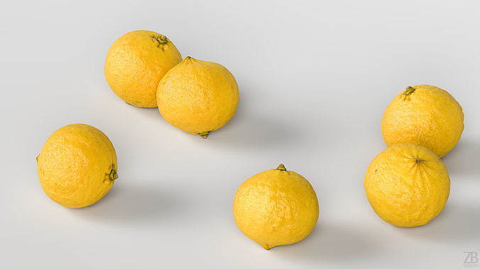 Bergamot 3D model 3