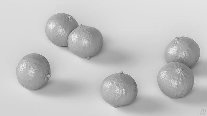 Bergamot 3D model 4