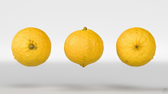 Bergamot 3D model 5