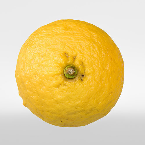 Bergamot 3D model 7