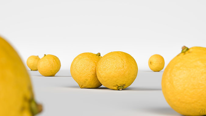 Bergamot 3D model 2