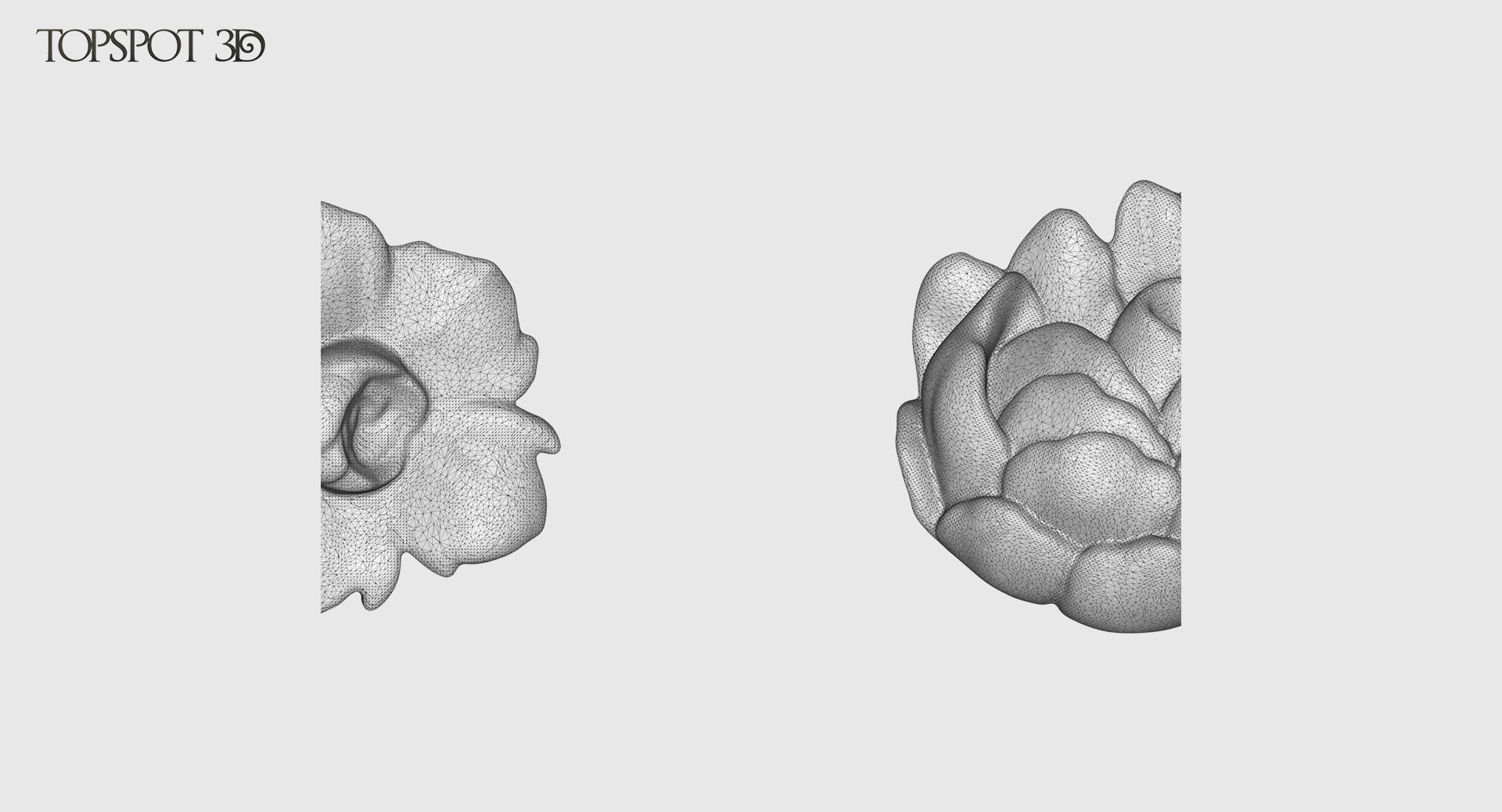 Decorative Flowers Set 3D print model_33