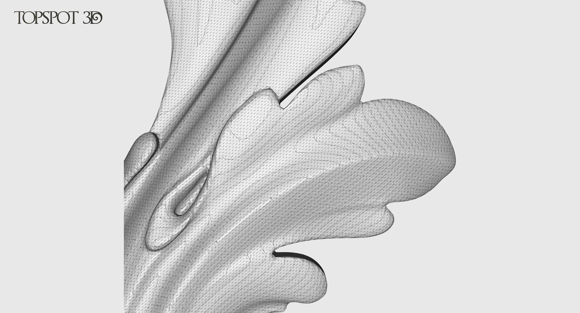 Acanthus Leaves Collection 3D print model_32