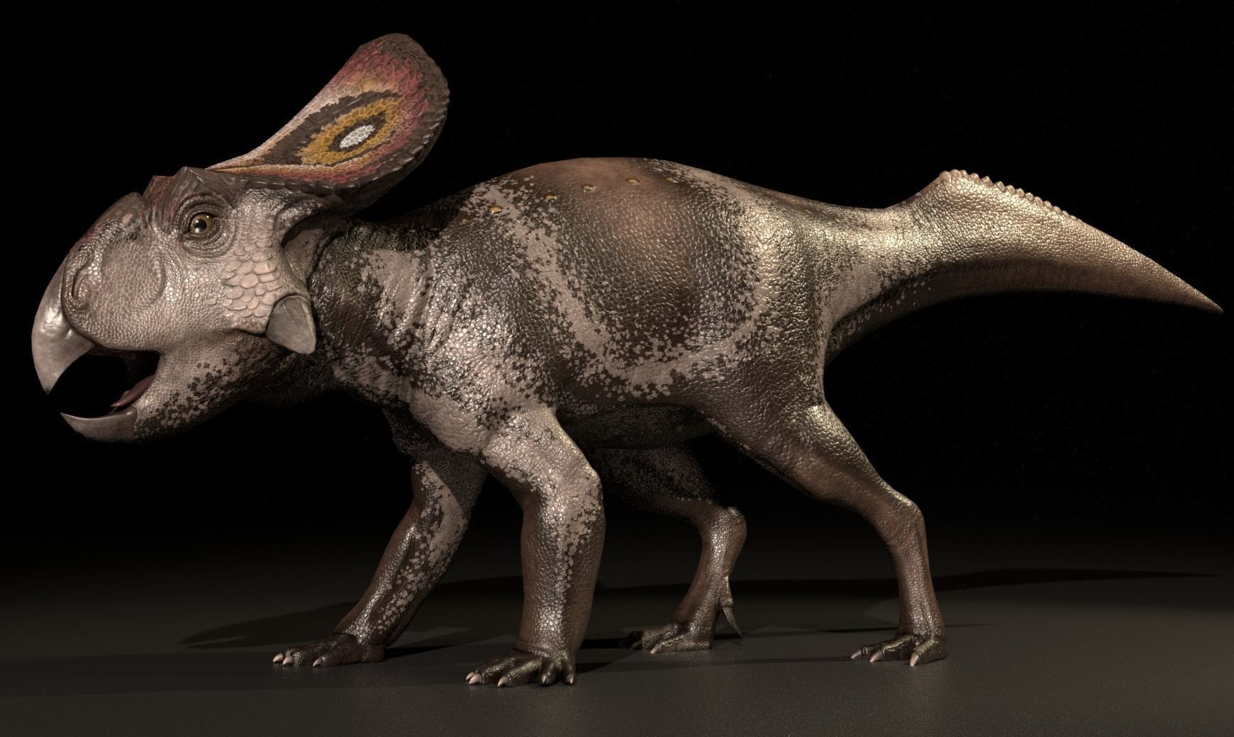 Protoceratops Asset Pack Low-poly 3D model_1