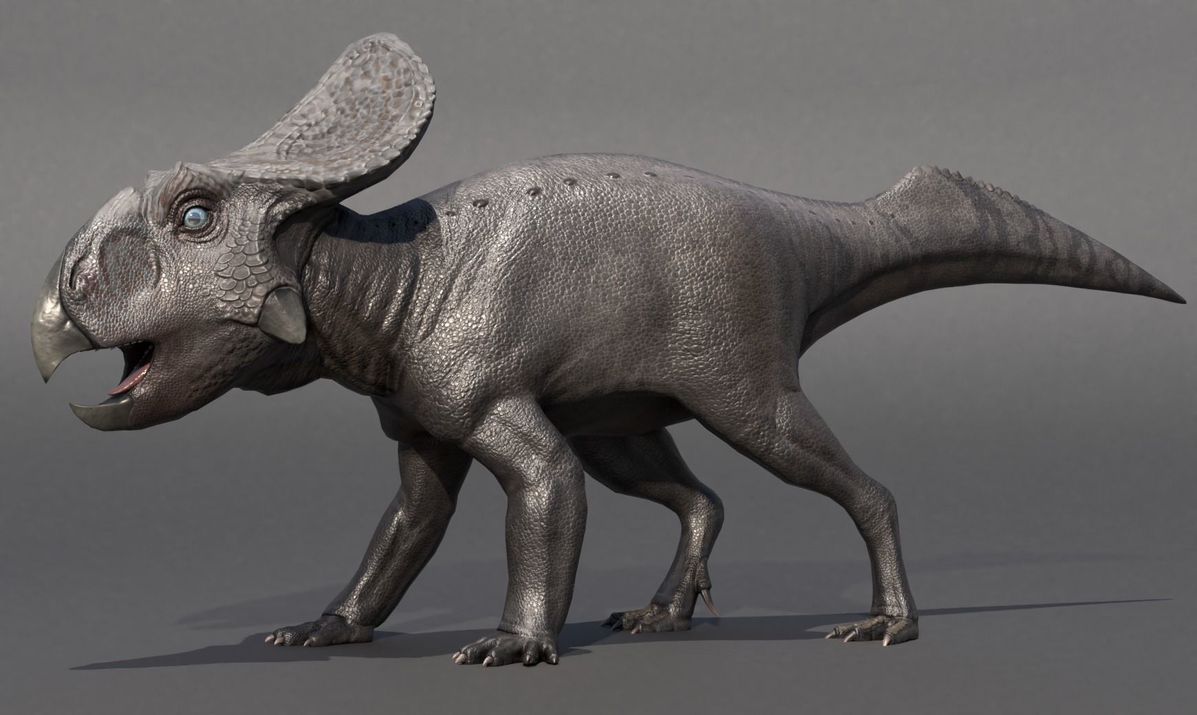 Protoceratops Asset Pack Low-poly 3D model_9