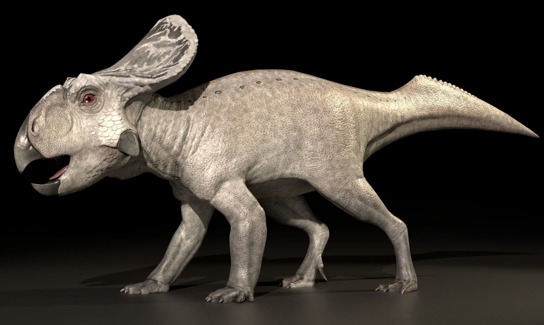 Protoceratops Asset Pack Low-poly 3D model_5