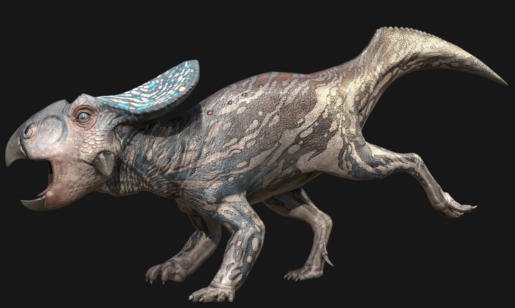 Protoceratops Asset Pack Low-poly 3D model_8