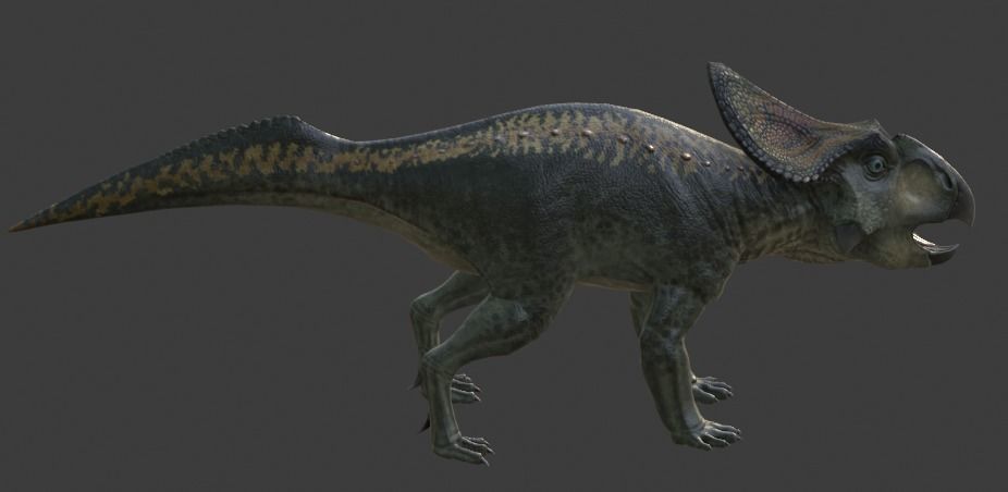 Protoceratops Asset Pack Low-poly 3D model_11