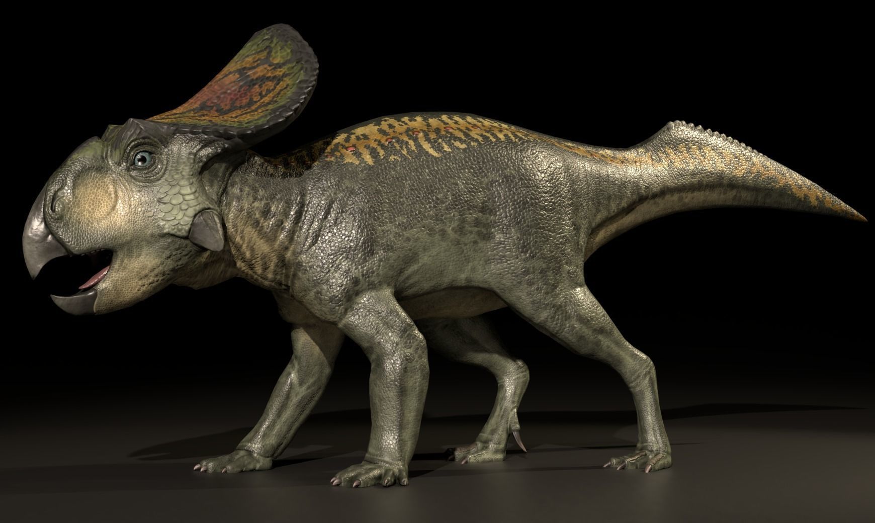 Protoceratops Asset Pack Low-poly 3D model_4