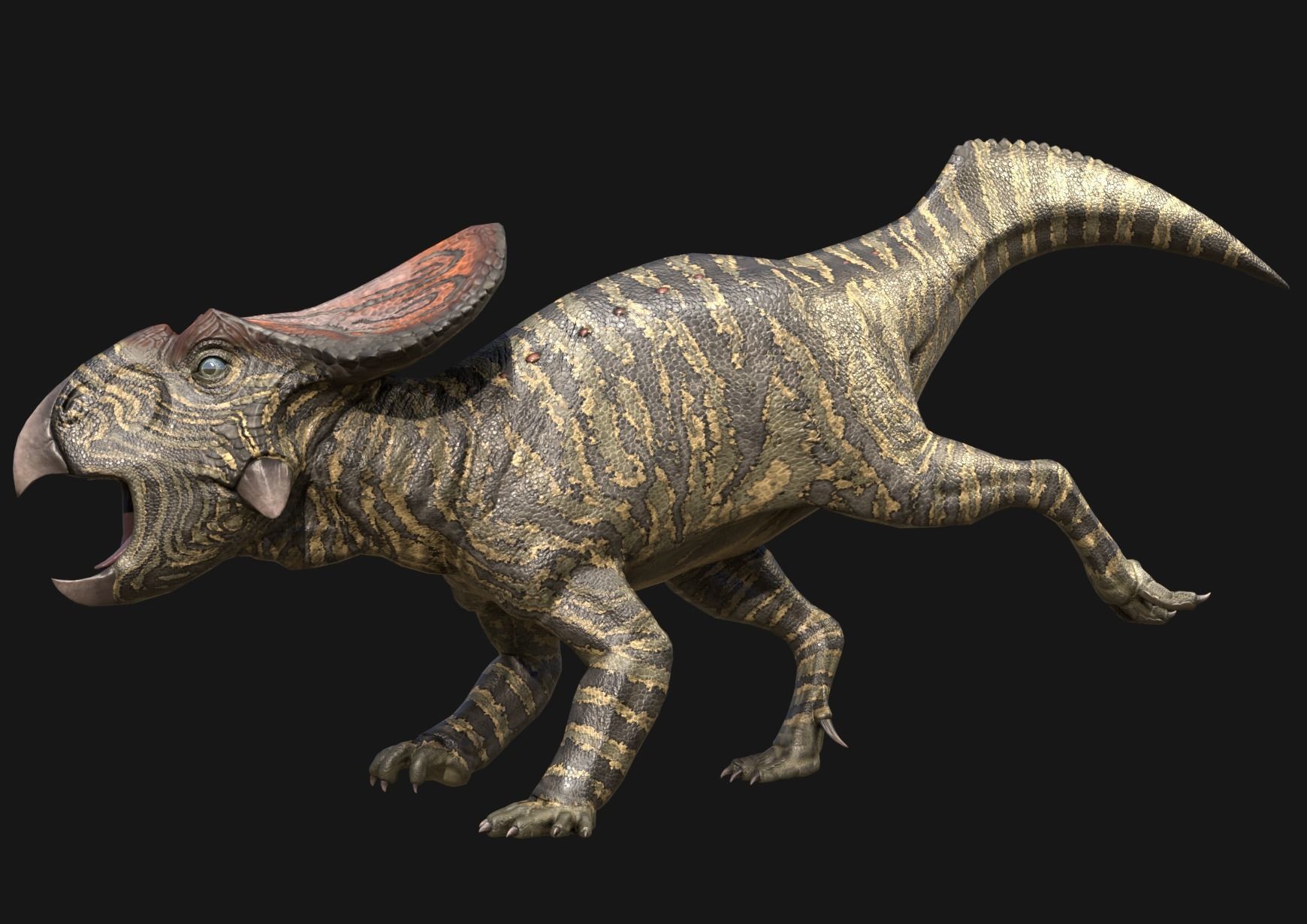 Protoceratops Asset Pack Low-poly 3D model_7
